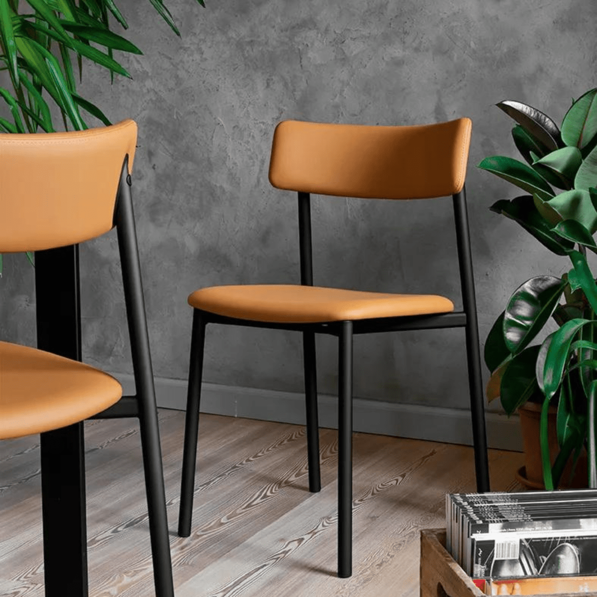 Set di sedie moderne da soggiorno "Up!" con sedile imbottito cm 49x48 81h - MondoViro