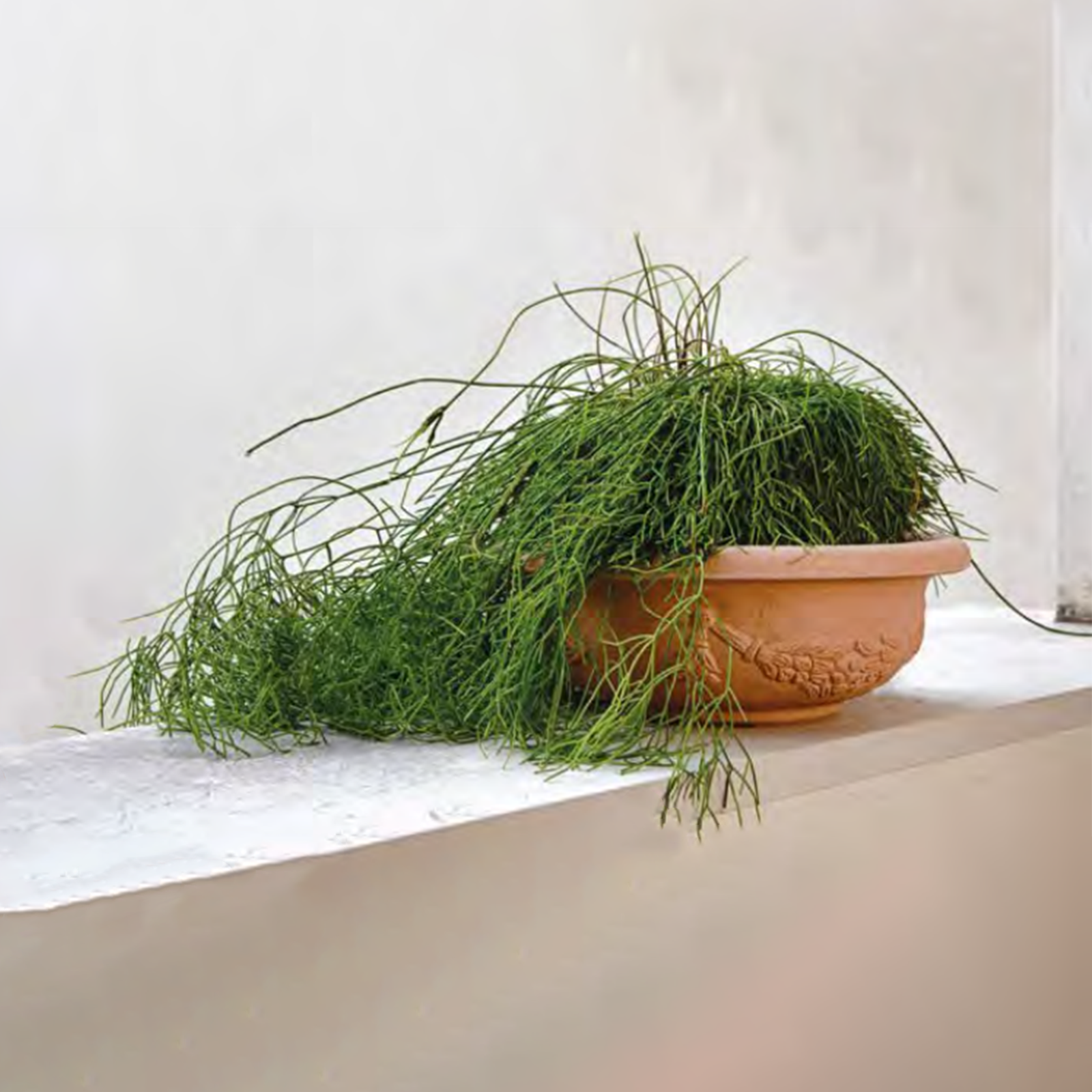 Vaso fioriera in resina Impruneta per esterno con sottovaso