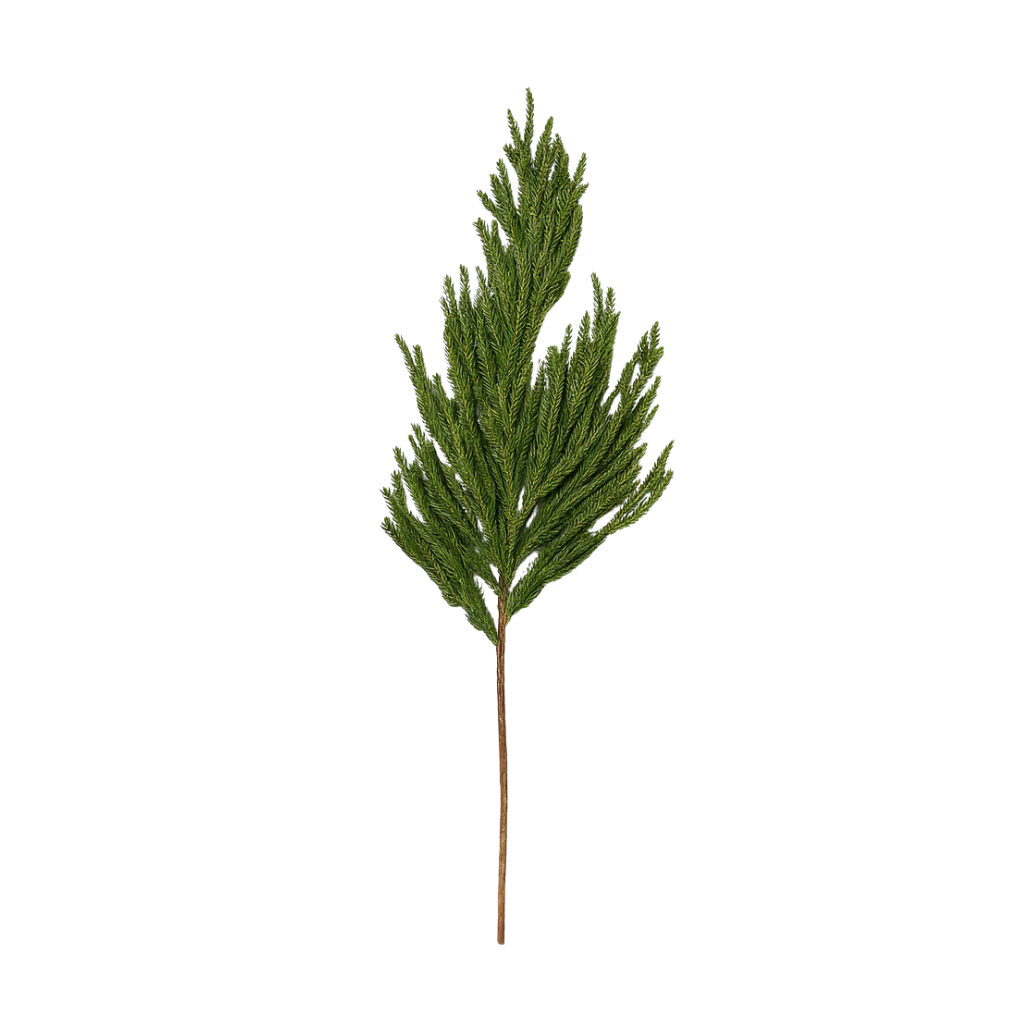 Ramo verde Norfolk Pine in Pe effetto Real Touch da 90 cm