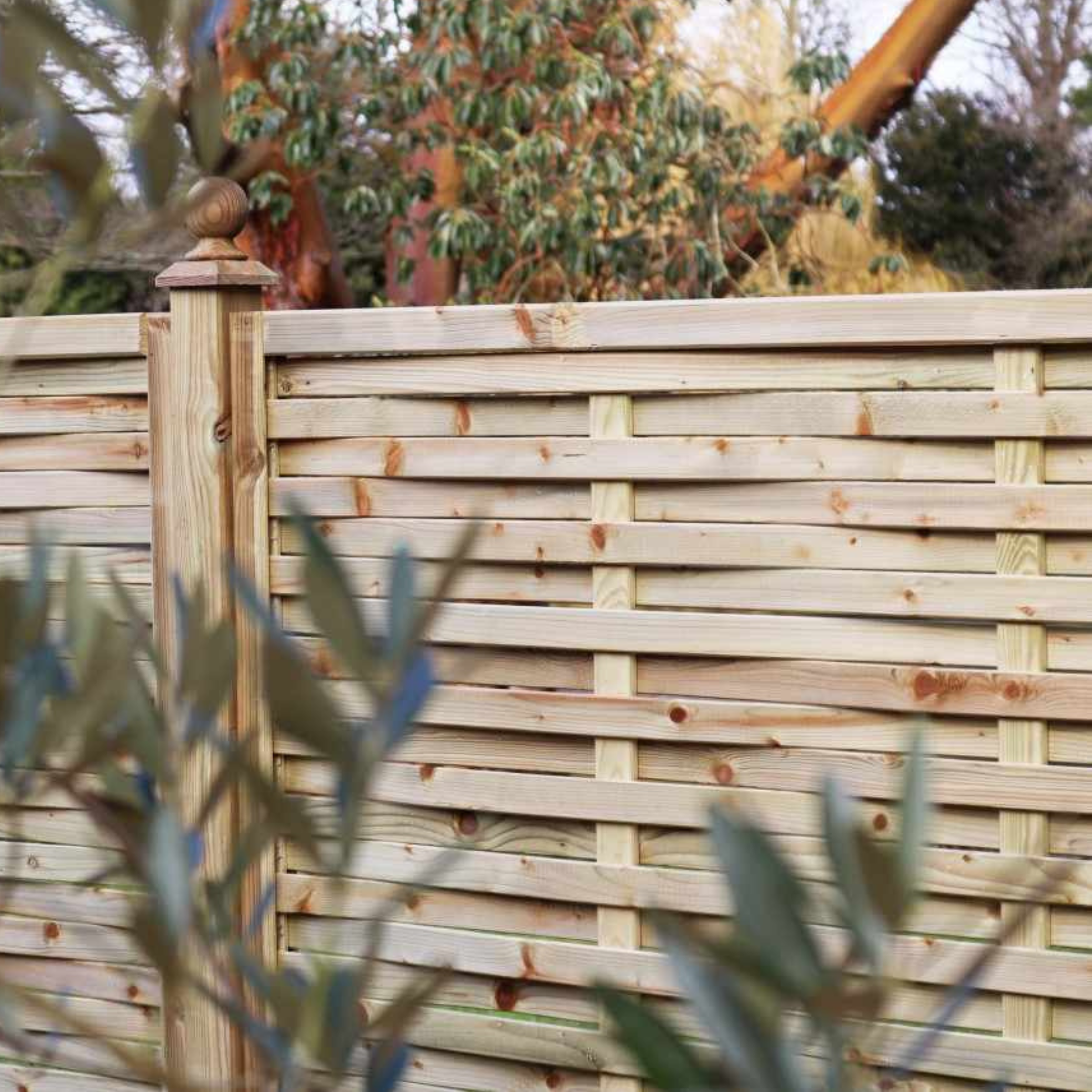 Pannello frangivento "Eco16" in legno impregnato in autoclave h 180 cm