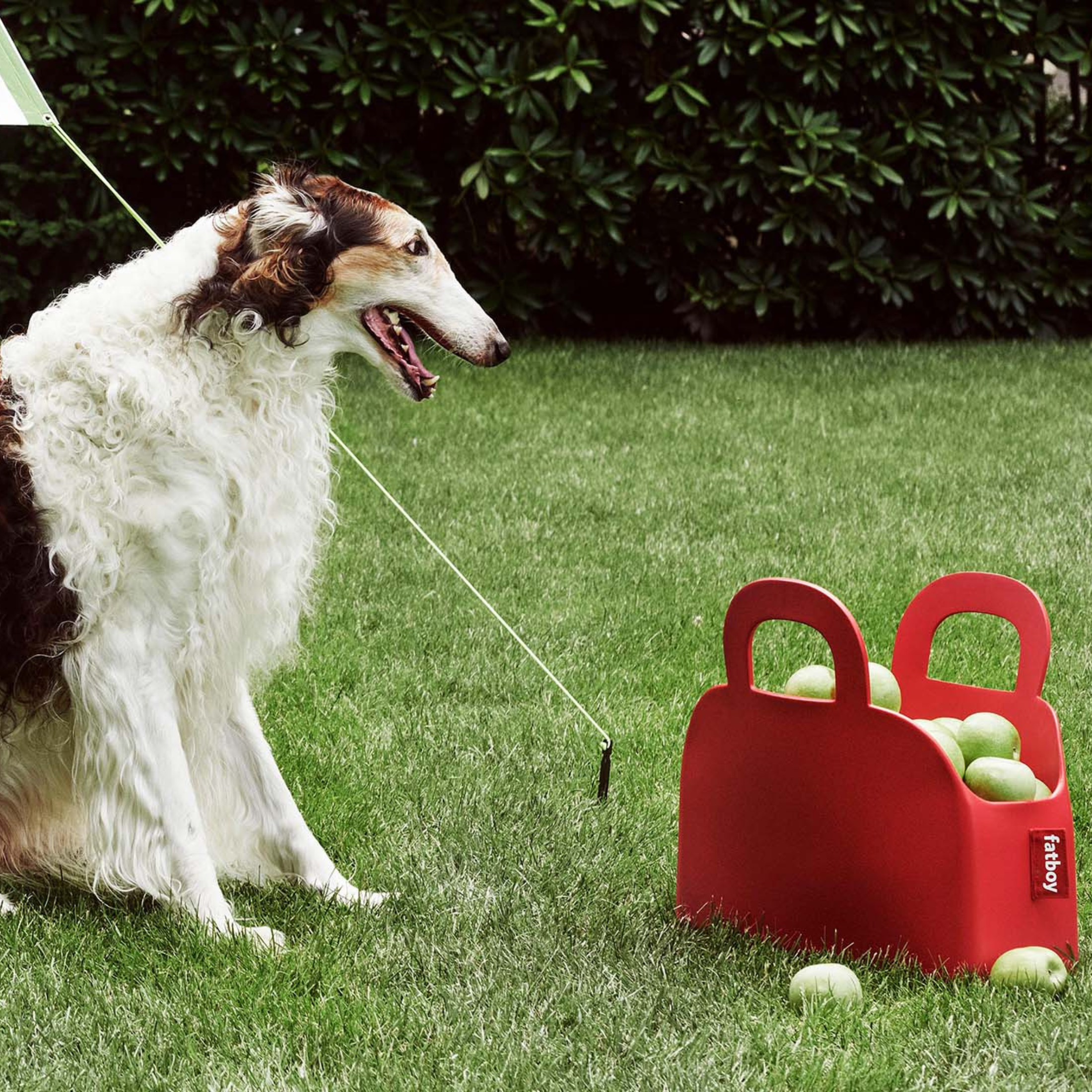 Borsa piccola "Sjopper-Kees" in EVA rigida cm 47x17 44h