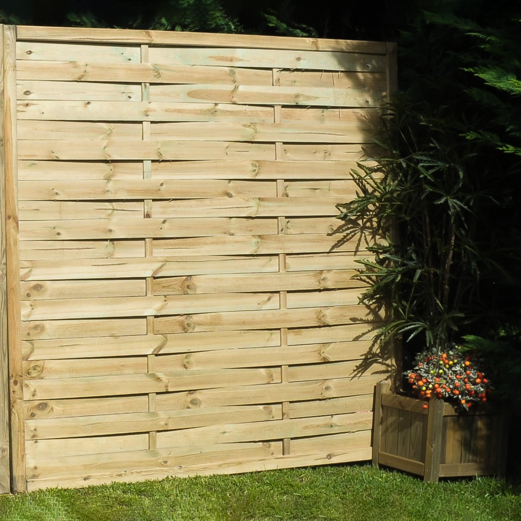 Pannello frangivento "Eco16" in legno impregnato in autoclave h 180 cm