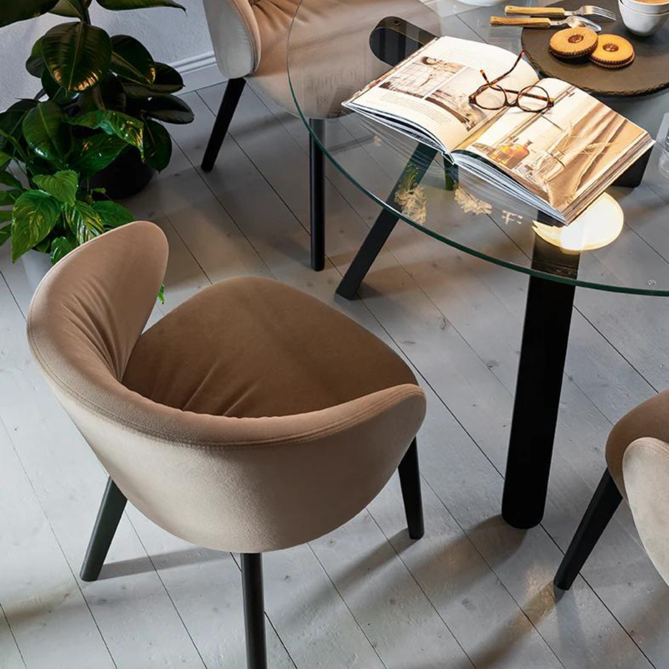 Set di sedie moderne da soggiorno "Tuka Soft" con gambe in legno