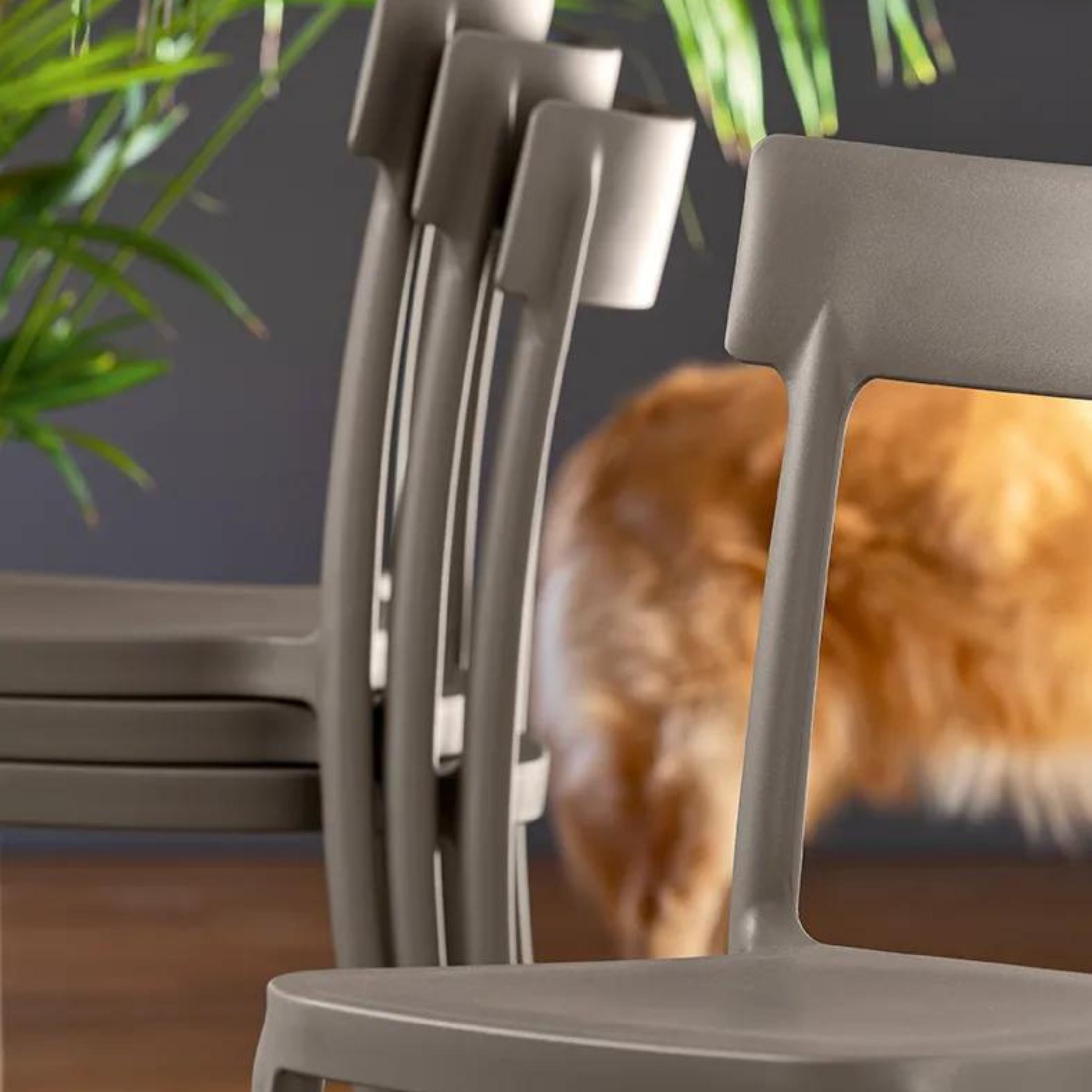 Set di sedie moderne in polipropilene impilabili "Argo" da soggiorno cm 48x47 82h