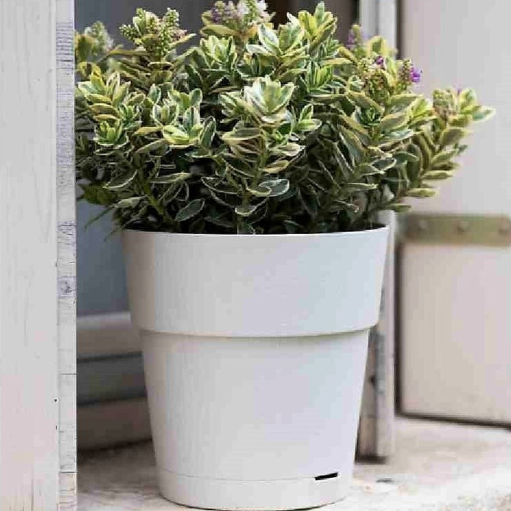 Vaso tondo infrangibile Ethica in plastica riciclata con riserva acqua