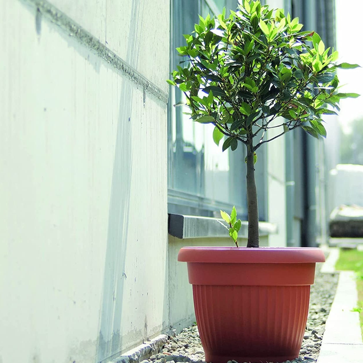 Vaso in polipropilene terracotta per piante e fiori