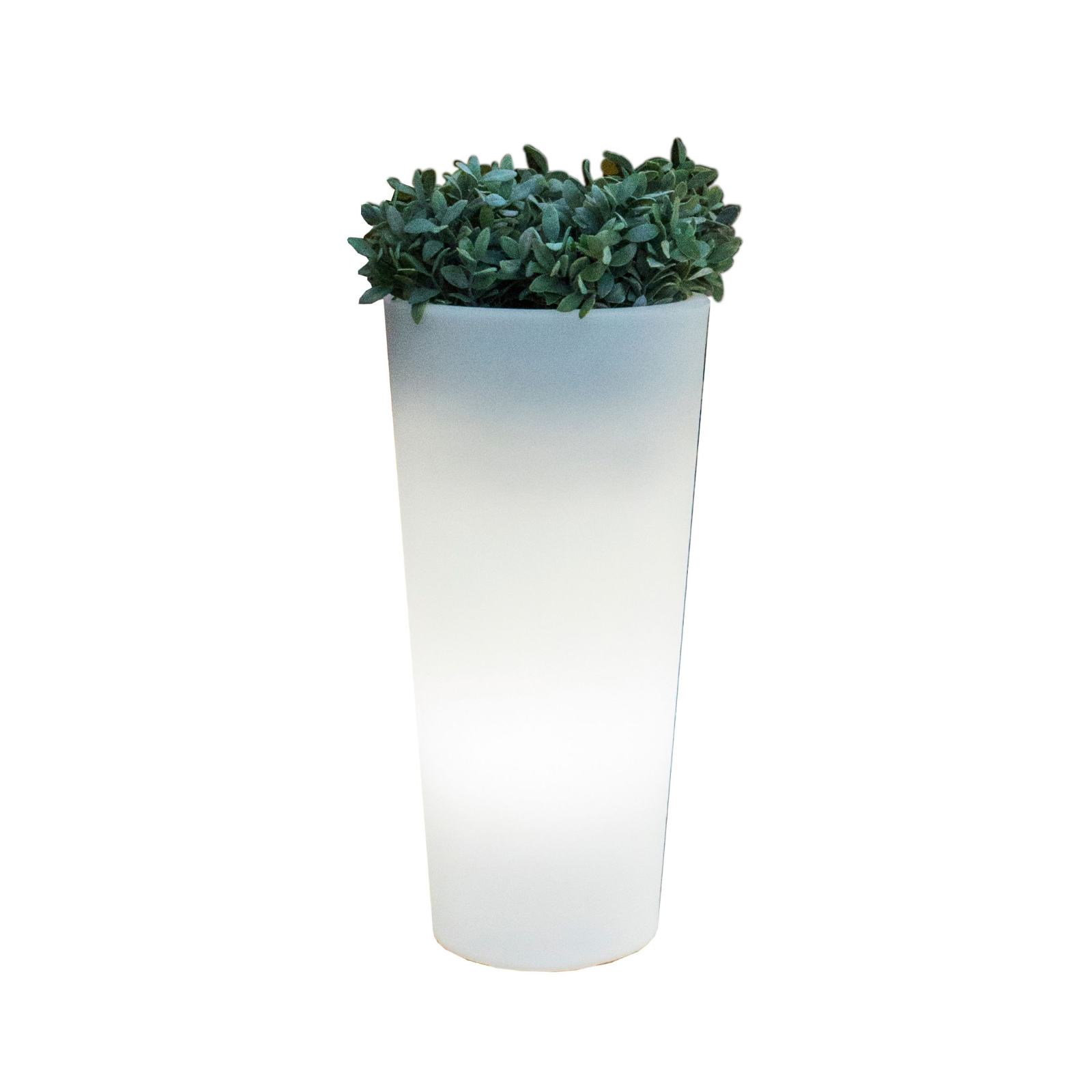 Vaso luminoso a led solare multicolore RGB tondo Ficus cm 29x29 59h