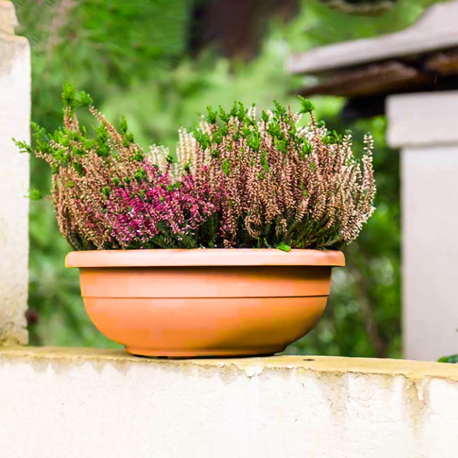 Vaso fioriera a ciotola in plastica Aurora per esterno senza sottovaso