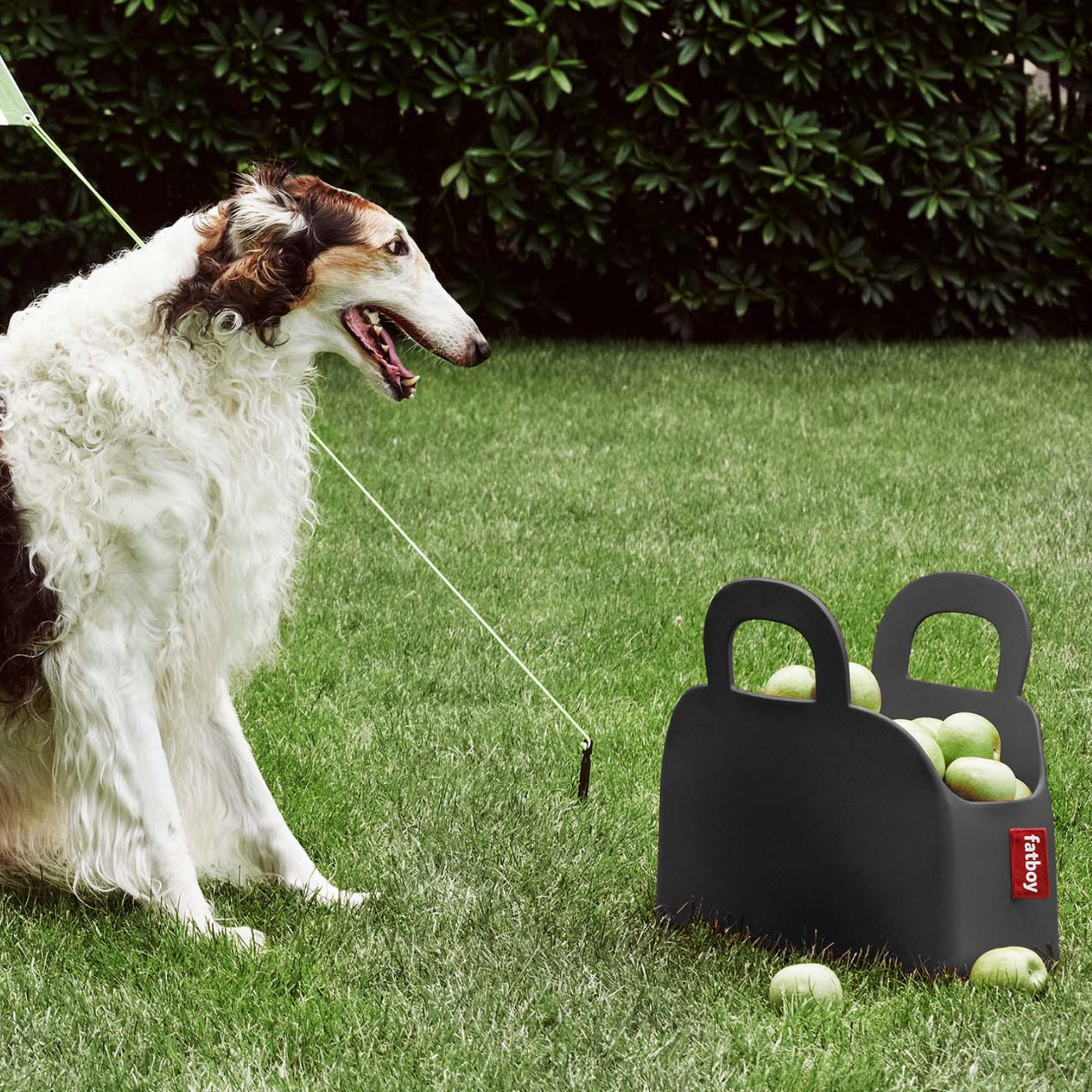 Borsa piccola "Sjopper-Kees" in EVA rigida cm 47x17 44h