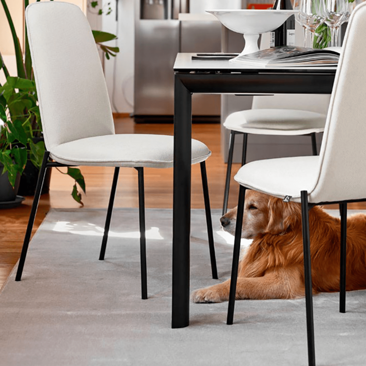 Set di sedie moderne da soggiorno "Riley" in tessuto imbottito cm 48x60 95h - MondoViro