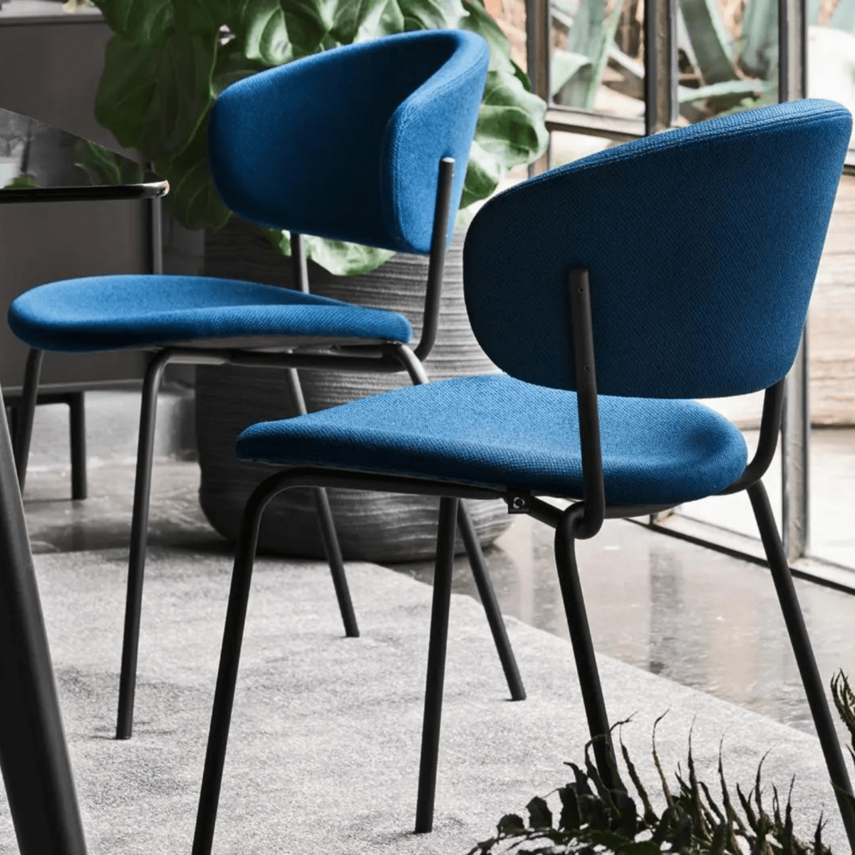 Set di sedie moderne da soggiorno "Desy" in metallo con seduta imbottita cm 49,5x57 78h - MondoViro