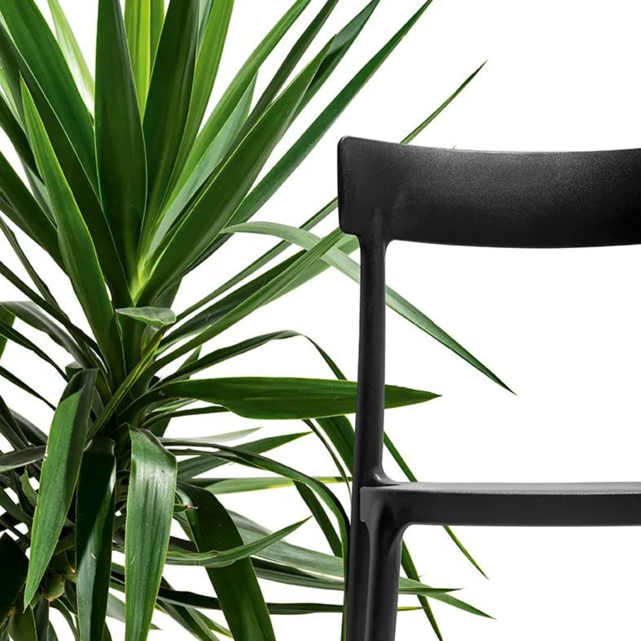 Set di sedie moderne in polipropilene impilabili "Argo" da soggiorno cm 48x47 82h