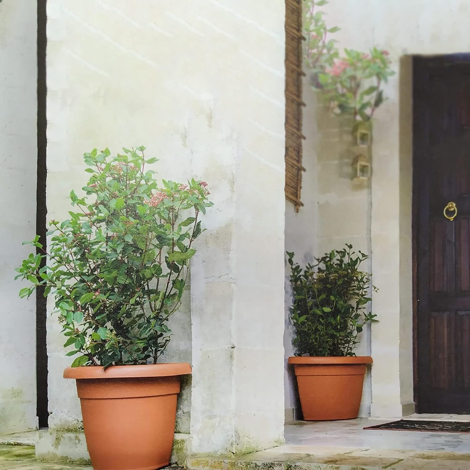 Vaso e sottovaso angolare in plastica terracotta "Girasole" per esterno