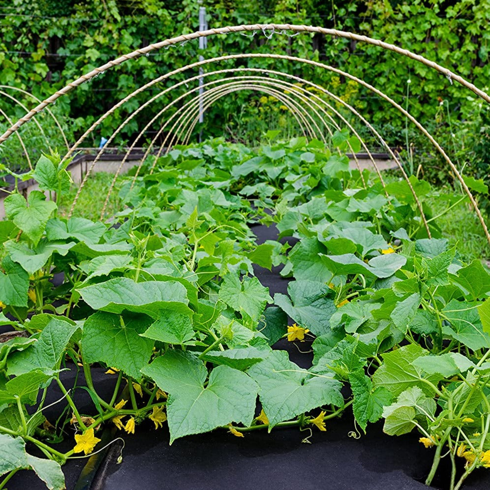 Telo per pacciamatura in TNT nero anti erbacce e UV permeabile